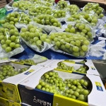 영천 샤인머스켓 씨없는 포도 2Kg,4Kg 현지 농장에서 직송 : 별모아상점