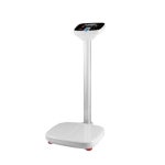 목욕탕 체중계 전자 업소용 저울 고정밀 상업용 헬스장 : 황금알2