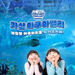 [서울] 가산 아쿠아밸리 이용권 수족관 키즈카페 아쿠아벨리 가볼만한곳 아이랑 : LSCOMPANY