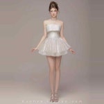파티드레스 대여 베트남 슬림 힙 랩 퍼피 쇼트 생일 원피스 : 아델스패션