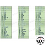 Lishi 도구 2 in 1 B111,BQSB,BT01,BW9MH,CHI/DW05R,CY24,CY24 리더,CY24 2021,DAT12R,DAT17,DW04R,FO38. : 티앤씨코리아03