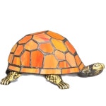 거북이 야간등, 무드등 : 포리나인코퍼레이션