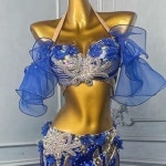 맞춤형 벨리댄스 의상 공연 드레스 여성 2025 신상 세트 오리엔탈 댄스웨어 연습복 벨리댄서 스커트 : 칠룡산업