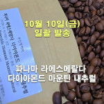 (주간할인 10월10일 발송) 파나마 라에스메랄다 다이아몬드 마운틴 내추럴 각 300그람 500그람 : 주인장이볶는커피