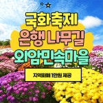 [아산-기차]11/1 2확정 가을 은행나무길 지중해마을 국화축제 외암민속마을 국내당일여행 : 그린스토리투어