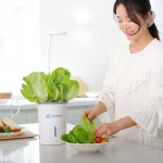 팜인팜어른랜드 가정용 수경재배 화분형 스마트팜 재배기 10WD4762C1 : ysGlobal