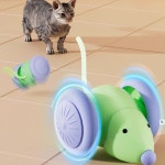고양이 자동 장난감 쥐 잡기 놀이 쥐 사냥 : 댕냥이 간식곳간