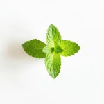 BR 유기농 린스 페퍼민트 946ml : 트레이드USA