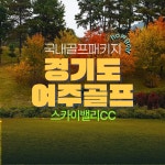 경기도골프장 여주골프장 스카이밸리cc : 골프어때신예지