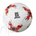 정리방 축구공 5호 축구구 : 정리방