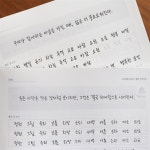 어른학습지 캘리그라피 글씨체배우기 필사하기 글씨연습장 예쁜글씨쓰기 한글글씨체 : 까치스