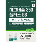 약국마그네슘 마그네슘 350 플러스 B6 1100mg 90정, 1개 : 브라이튼라이프