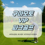 [구마모토 파크골프] 일본 효도 파크골프 성지 3박 4일 (호텔, 108홀, 항공별도) : 더데이투어