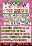 [마감] 2025년 11월 6일, 7일, 9일, 11일, 12일, 13일 거창 창포원 국화축제 + Y자 출렁다리 당일 여행 : 라온투어