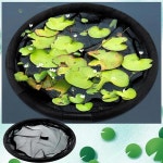 보호망 휀스 안전망 플로팅 플로라 물고기 배리어 식물 보호기 파인 메쉬 플로팅 연못 목장 리프팅 링 라운드 보호 플로팅 식물 목장 : 쇼핑홀릭16