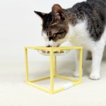 스튜디오얼라이브 츄릅식기 : STUDIOALIVE