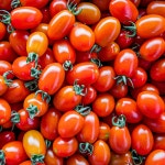 대추 방울토마토 1~4kg 산지직송 : 동림이네 농장