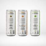 스파클링 메이플 워터 프리미엄 오리지널, 355ml, 48개 : 아슈테