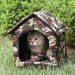 길고양이 집 고양이 숨숨집 방수 보온 길냥이 급식소 야외 실외 강아지 겨울 하우스 소형 : 퍼플펫