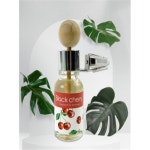 헬퍼찬 클립형 카 디퓨저 2개입세트 차량방향제 차량용방향제 : 유상제공