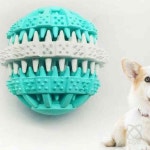 이헌 덴탈토이 볼 M 칫솔장난감 장난감칫솔 : 이헌몰