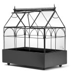 H포터 유리 테라리움 식물 다육질 용기 와디안 케이스 플랜터 65-1R 1 : 챌린저스트