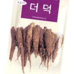 2024 씨앗 더덕 더덕씨 약초 사삼 재배 : 셀스토어컴퍼니