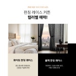 성남프라자커텐 펀칭레이스커튼 2종 210X230 : 성남프라자커텐