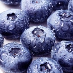 [백화점납품] 산지직송 명품 100%국내산 냉동 블루베리 2kg : 코코르존브랜드샵