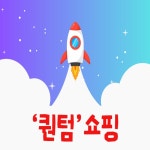 부업 인스타 유튜브 쇼핑 쇼츠 릴스 쿠팡 수익화 퀀텀쇼핑 : 신난다 마켓