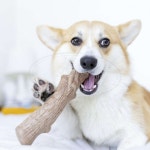 엠펫 바이올렛 2단 캣타워 (H8543) 캣하우스 고양이탑 고양이 : 삼덕샵