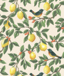레그노 9189-0번 새, 레몬 트레일 포인트벽지 : 수입벽지 레그노