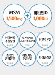 뉴트리랩스 미국 MSM msn 엠에스엠 디메틸설폰 135일 : 골말상회