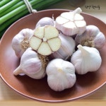[5+1 김장맞이 이벤트]단양마늘 깐마늘 김장용 한지형 햇깐마늘 500g 1kg 농가직송 : 단양마늘전문 오종만농장