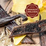 GRELIM 12 마다가스카르 바닐라 빈 새 시즌 등급 A 전체 포드 추출물과 베이킹에 적합 : 에이유에이케이 물산