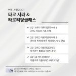 [시라의 타로카드 레슨] 1:1  리딩반 : 타로시라