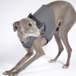 막스플레이 이지투고 트레킹 베스트 그레이 래쉬가드 아아쥐옷 이탈리안그레이하운드옷 : MARX PLAY