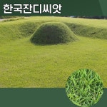 한국 잔디씨앗15g 정원 묘지 들잔디 산소용 : 광림아그로