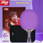 DHS H6001 프로페셔널 탁구 라켓 6 스타 허리케인 9 및 3 고무 수평 그립 배트 (케이스 포함) : 제케연구소