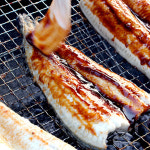 초벌 민물장어 4인분 (1인분 2인분 3인분 5인분 6인분) 장어구이 : 인어교주해적단