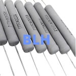 2PCS 비유도성 금속 산화물 필름 주파수 분배기 저항기 HiFi용 10W 0.22R 1R : 이륙상사