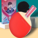 DHS H4006 4성급 탁구 라켓 전문 7 레이어 순수 목재 패들 허리케인 스티커 고무 : 제케연구소