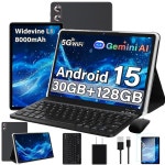 DS RM 2025 15 와이드바인 L1 제미니 128GB GPS 화면 10 메탈 30G : 알로직셀