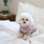 꽃무늬 보아털 강아지 목폴라티 애견 티셔츠 소형견옷 코코리베 강아지옷 XS : 코코리베 CocoLiebe