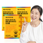 비타민마을 원어데이 21종 종합 멀티비타민 미네랄 60일분 60정, 3개 : 비타민마을