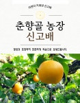 춘향골 신고배  7.5KG (춘향골농장) : 춘향골농장