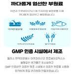 웰러스 면역 이뮨에는 아연과 프로바이오틱스 유산균 400mg 대용량 300캡슐(10개월분) : 에스엠헬스코리아