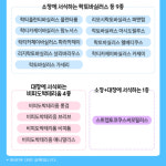 웰러스 면역 이뮨에는 아연과 프로바이오틱스 유산균 400mg 대용량 300캡슐(10개월분) : 에스엠헬스코리아