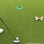 퍼터연습기 휴대용 골프 퍼터 홀 컵 실리콘 골프 퍼팅 대상 디스크 스포츠 및 엔터테인먼트를위한 간편한 운반 골프 훈련 장치 : 트랜스글로벌