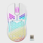 PC 노트북용 USB 유선 BLE to , Mbps 수 블랙 유선 홀 마우스 : 채운상점